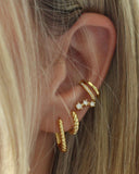 Sofia Twisted Rectangular Hoops