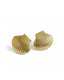 Seashell Statement Earrings