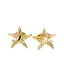Eloise Studded Star Earrings